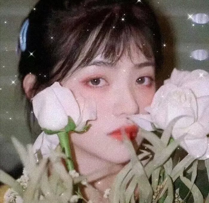 推荐 旅途中的日子